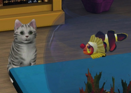 450px-TS3_PETS_PC_1ST_LOOK_CAT_FISH_01.jpg